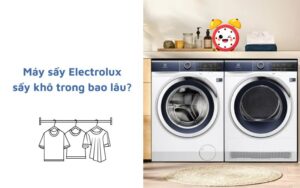may-say-electrolux-say-bao-lau-thi-kho